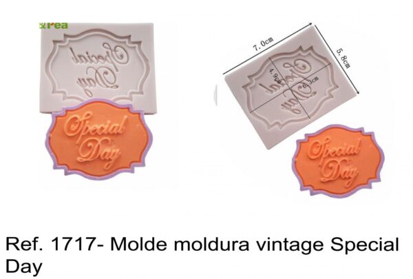 J 1717- Molde moldura vintage Special Day