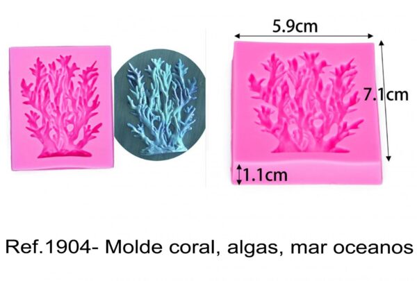 J 1904- Molde coral, algas, mar oceanos